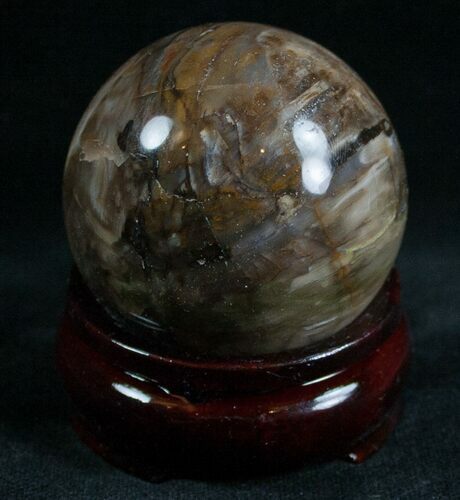Colorful Petrified Wood Sphere #6791